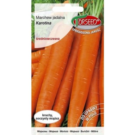 Carrot Seeds Carotina - Torseed