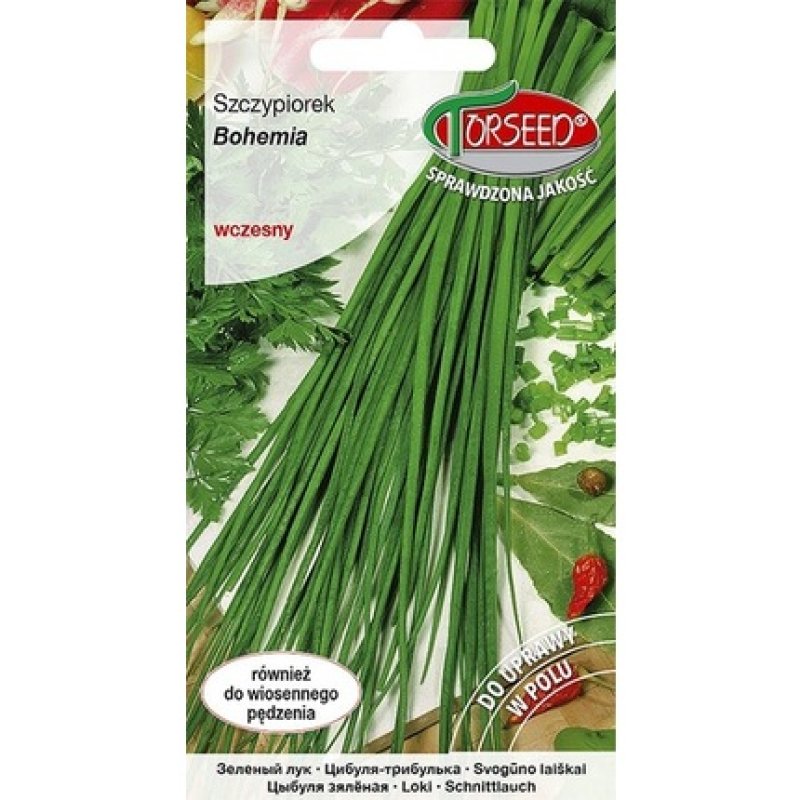 Bohemian Chive Seeds 1g - Torseed