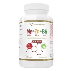Progress Labs Magnesium Zinc Vitamin B6 Dietary Supplement - 120 Tablets