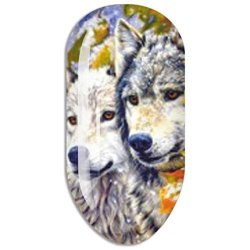 Mollon PRO Water Decal Sticker N568