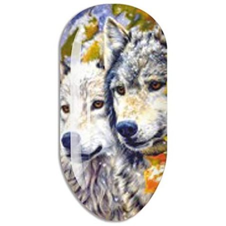 Mollon PRO Water Decal Sticker N568