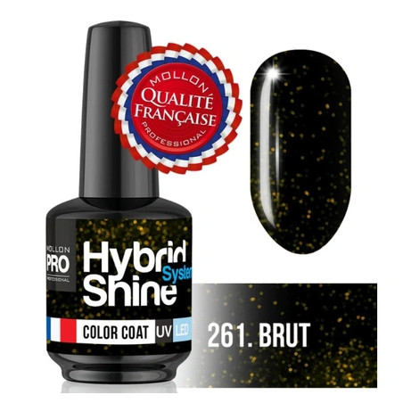Mollon Pro Mol Hss 2/261 Semi-Permanent Hybrid Shine Nail Polish