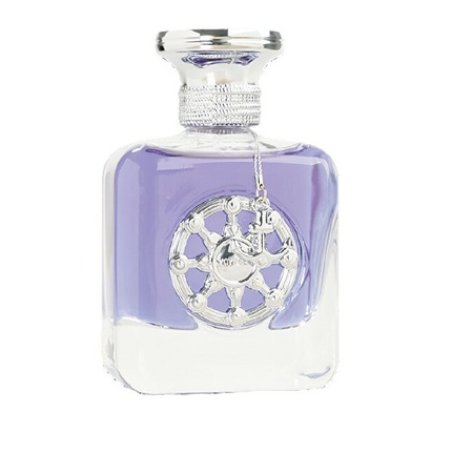 Voyager Silver Eau de Parfum Volume 100 ml