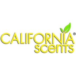Autocare California Scents Car Air Freshener Vent Sticks - Pack of 4