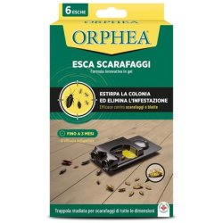 ORPHEA SCARAFAGGI ESCA 6 PZ