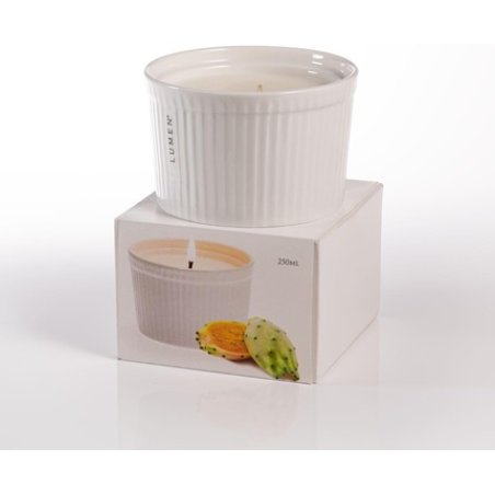 Lumen Cactus Fig Scented Candle in Glass 250ml