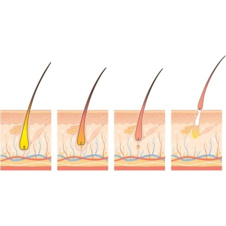 Annurkap Fortifying Energizing Hair Loss Ampoules