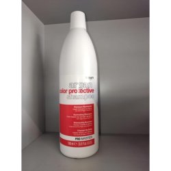 Dikson ProMaster Argan Color Protective Shampoo