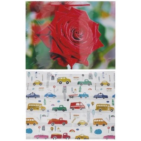 Decorative Bag 290x380 Hard A - Pack of 10