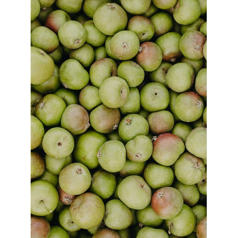 RAUSCH 12753 hair lotion & spray Hair spray Unisex 100 ml