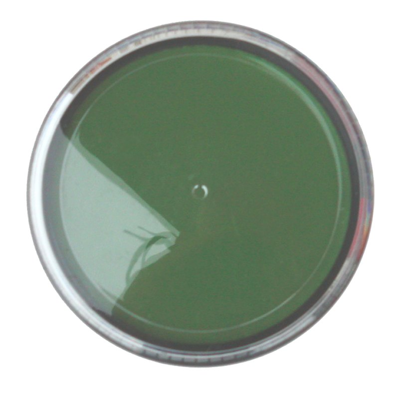 Colors For Fan Makeup Green by Mario Giussani