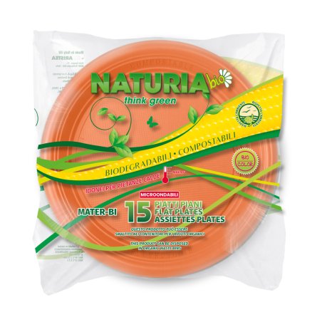 Aristea 8001909538160 disposable dish Plate