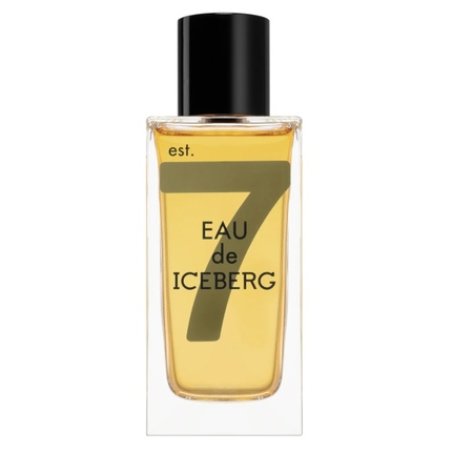 Iceberg Eau De Amber Pour Homme Toilet Water Spray 100ml