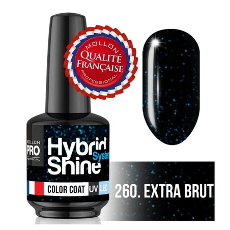Mollon Pro Mol Hss 2/260 Semi-Permanent Hybrid Shine Nail Polish