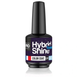 Mollon Pro Mol Hss 2/281 Semi-Permanent Hybrid Shine Nail Polish