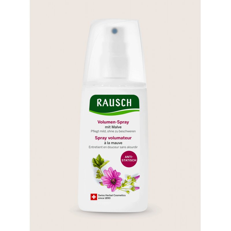RAUSCH 12123 lotion et spray pour cheveux Laque Unisexe 100 ml