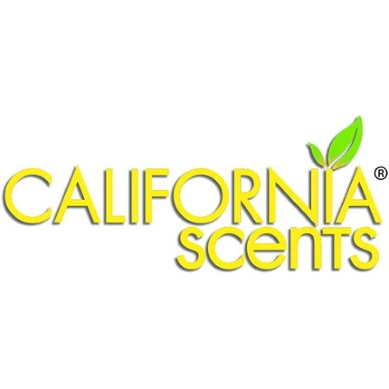 Autocare California Scents Car Air Freshener Mini Diffusers Ice