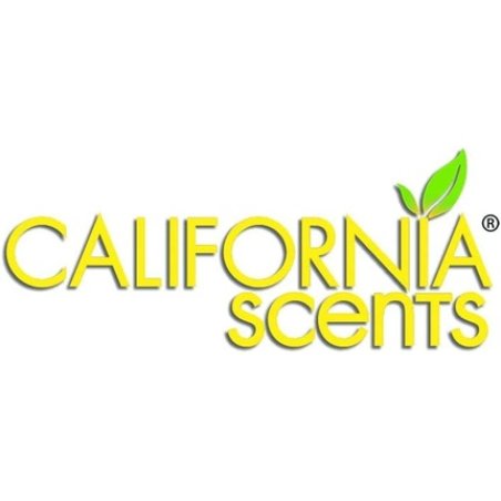 Autocare California Scents Car Air Freshener Mini Diffusers Car New