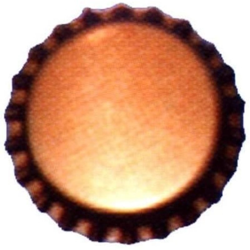 Home Bottle Cap Putty Diam. 26 Cf.100pz