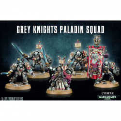 Warhammer 40k - Grey Knights Paladins / Terminators Squad