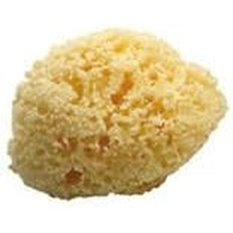 KOH-I-NOOR Bath Sponge 9M White