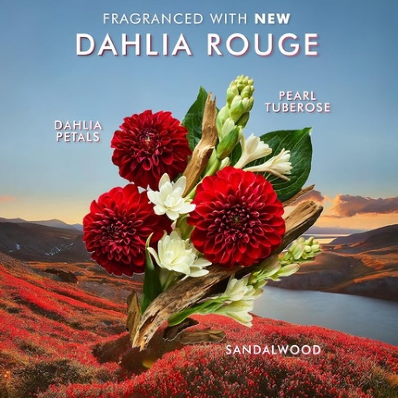 Moroccanoil Hand Cream Dahlia Rouge 100ml