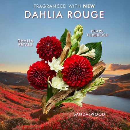 Moroccanoil Hand Cream Dahlia Rouge 100ml