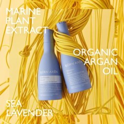 Bjorn Axeen Repair Shampoo 250ml for Dry Damaged Hair