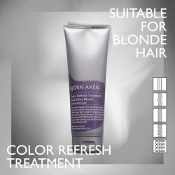 Björn Axén Color Refresh Treatment Hair Color Mask for Blonde Light Blonde and Platinum Blonde Hair 8.45 oz