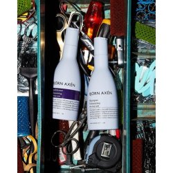 Björn Axén Volumizing Shampoo with Rice Protein and Vitamin B5 8.45oz