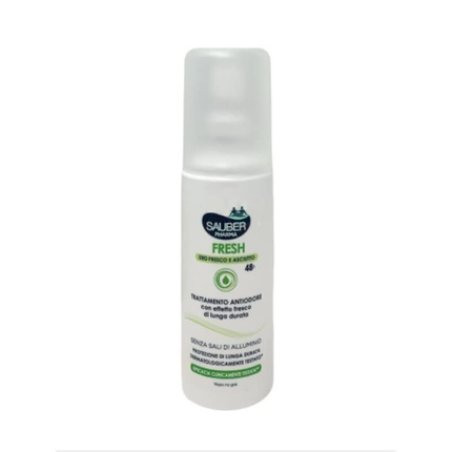 Sauber Fresh Deodorant Anti-Odor Treatment 48h Spray 100ml