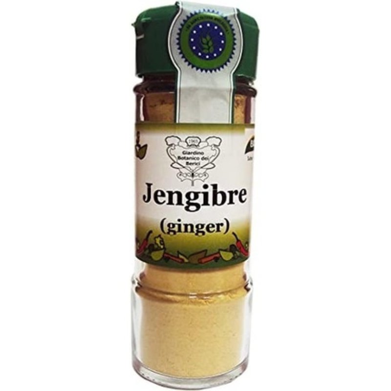 Ginger Powder Refining Bio