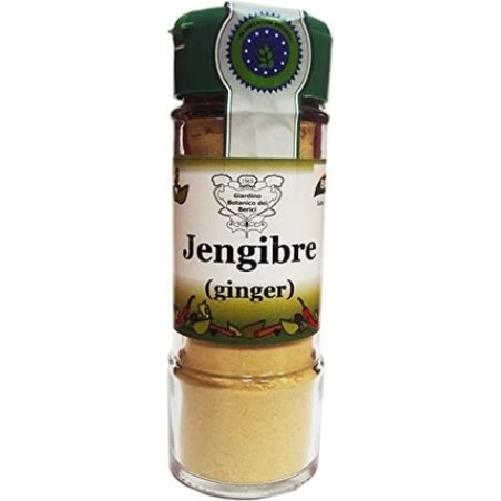 Ginger Powder Refining Bio