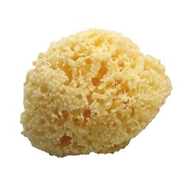 Natural Bath Sponge 4-5 cm