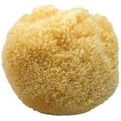 KOH-I-NOOR 13 M Series Bath Sponge Body Care
