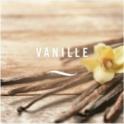 Febreze 3Volution Scented Plug Madagascan Vanilla & Magnolia Refill 20ml