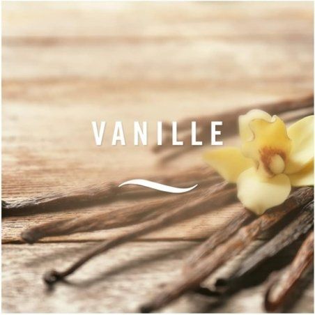 Febreze 3Volution Scented Plug Madagascan Vanilla & Magnolia Refill 20ml