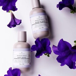 Waterless Beauty Deep Scalp Cleanser Concentrate 3.5 oz - Clarifying Hair & Scalp Detox Shampoo for Oily Scalp Buildup