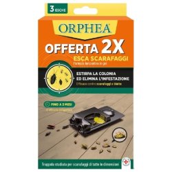ORPHEA SCARAFAGGI ESCHE 6 PZ 3X2 SCA