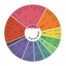 Gianfranco Ferre Black Eau de Toilette Spray for Men 3.4 Ounce