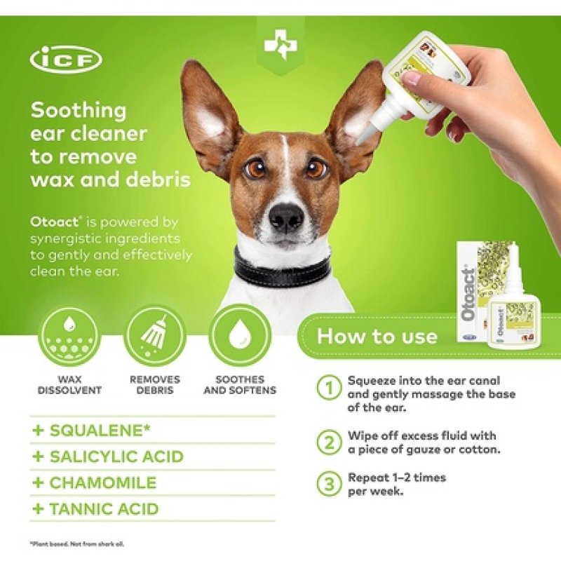 Cif Icf Oto Act 100 Ml