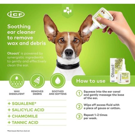 Cif Icf Oto Act 100 Ml