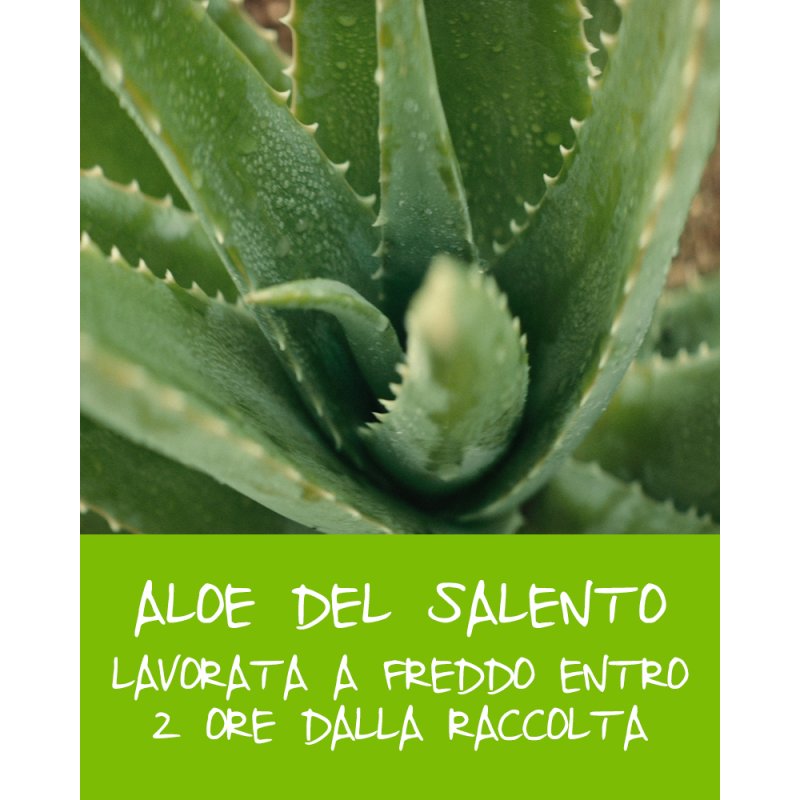 OMIA Laboratori Aloe Vera crème hydratante pour le visage Unisexe 50 ml All ages