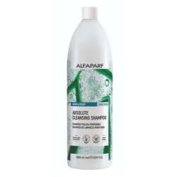 H&B Absolute Cleansing Shampoo