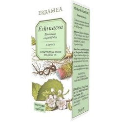 Echinacea Angustifolia 50ml