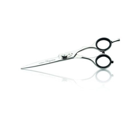 Iwasaky Okayama 6" Hairdressing Scissors