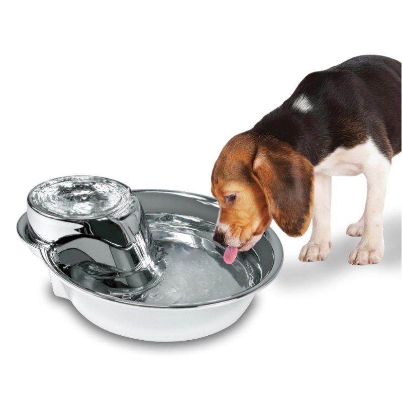 PioneerPet 3009 bol pour chiens et chats Chien Gamelle à eau pour animaux de compagnie