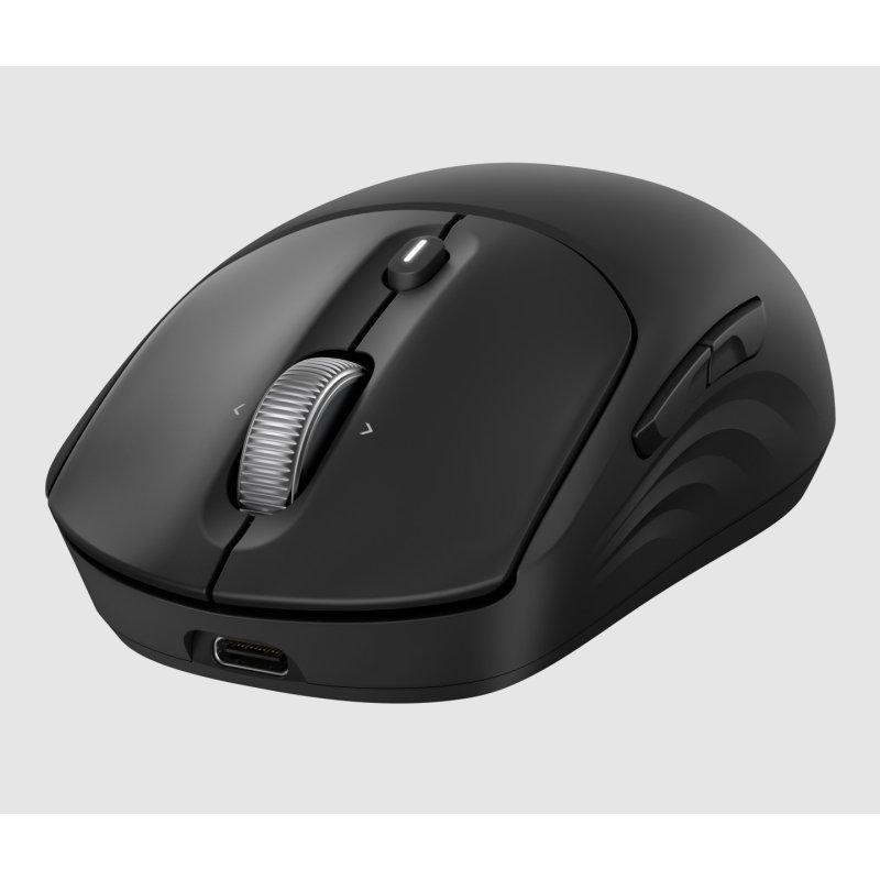 HP Souris sans fil rechargeable 700