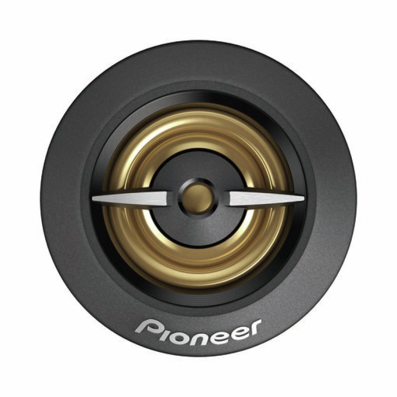 Pioneer TS-A301TW