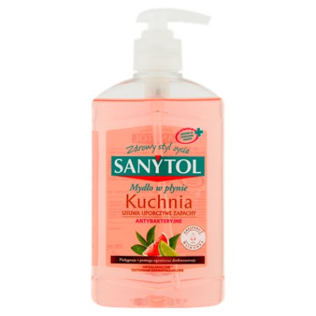 Sanytol Kitchen Antibacterial Liquid Soap 250ml